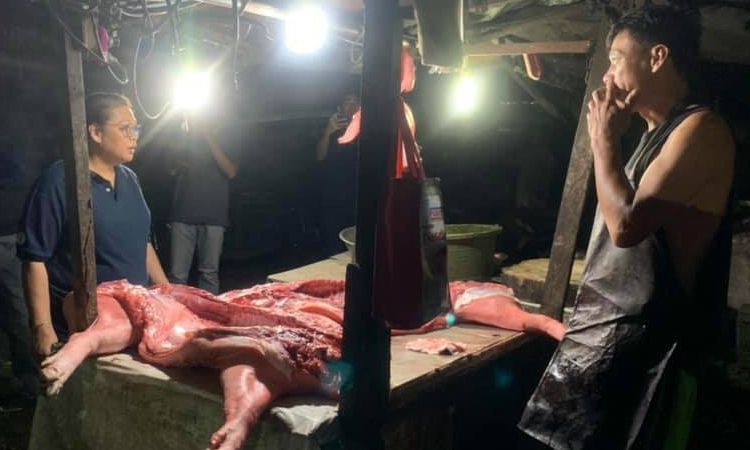 Vendor arrested for selling ASF-infected pork meat in QC