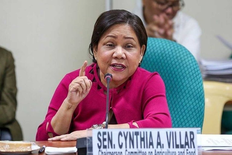 Cynthia Villar lambasts DENR exec over Cavite reclamation project