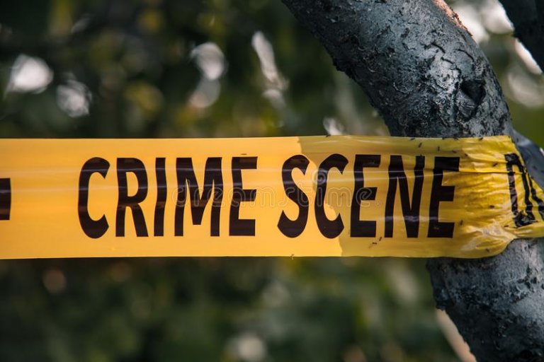 Woman stabbed more than 50 times by live-in partner