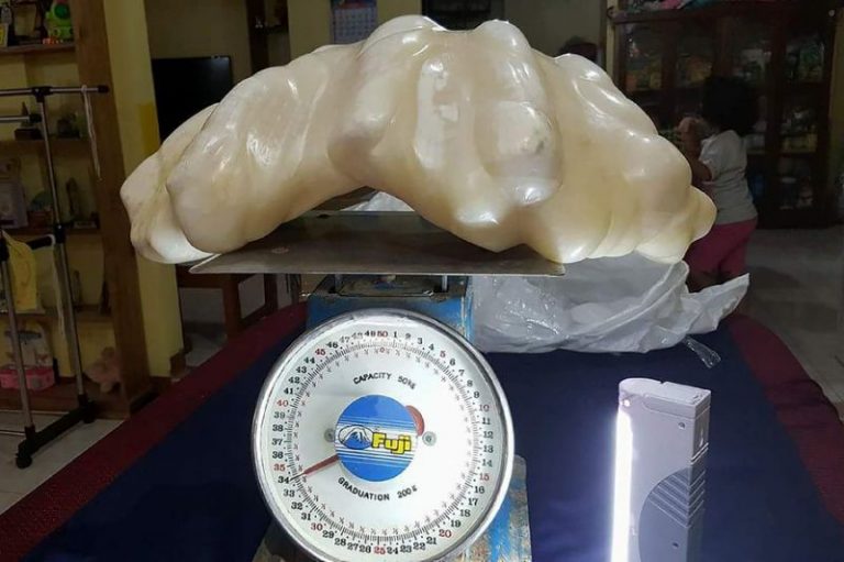 Worlds Largest Pearl Philippines