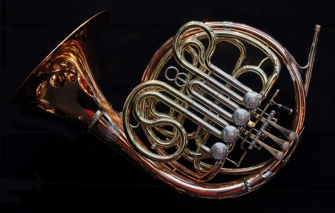 Learn How to Play the Horn with This App