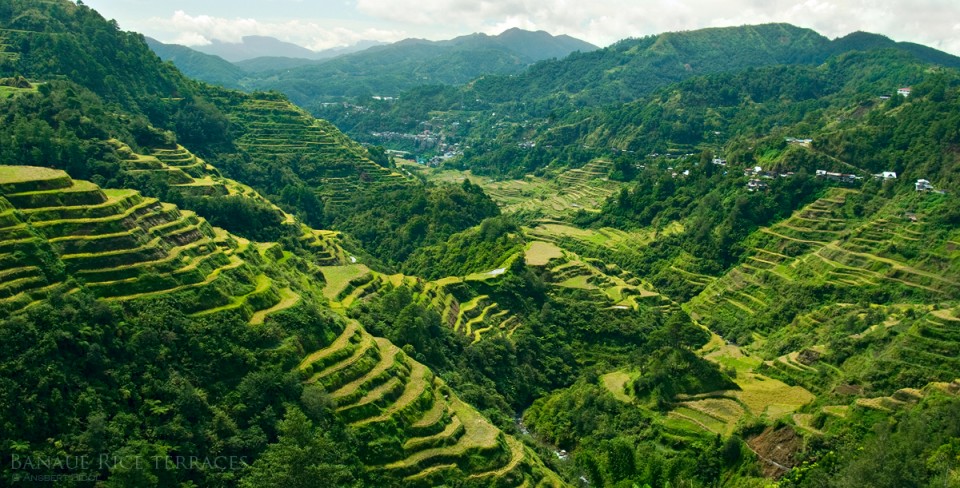 Ifugao Rice Terraces