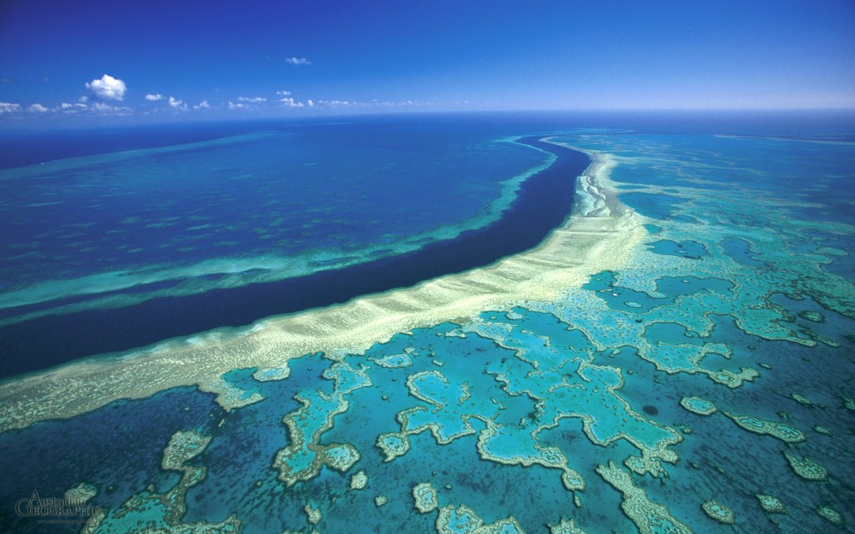 barrier reef