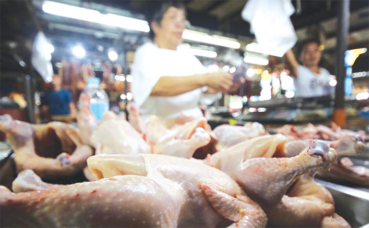 chicken price market philippines