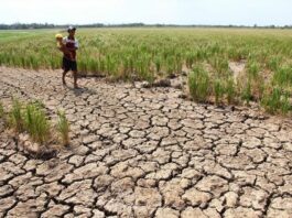 climate change philippines