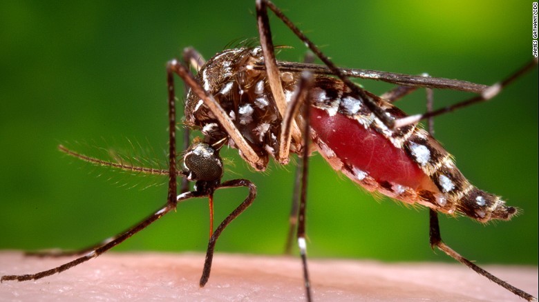 dengue hotspots