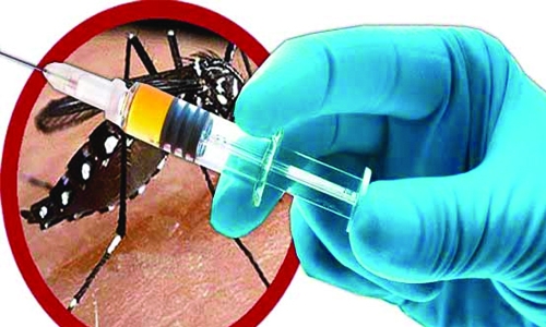 anti-dengue vaccine