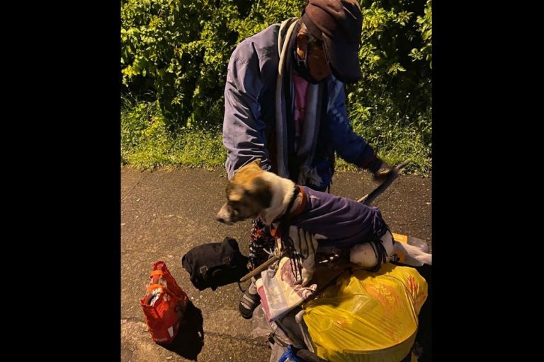 Woman, pet dog walk for 2 weeks to go home in Negros Occidental