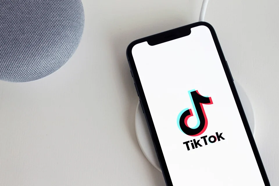 What Are the Most Famous Profiles On TikTok? Discover Them