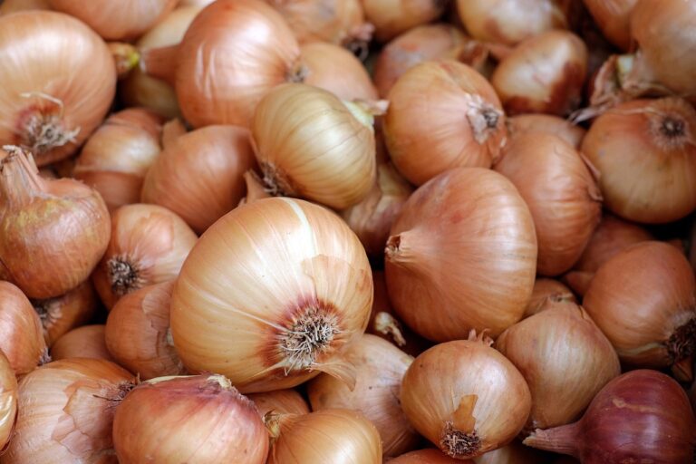 P17-M worth of smuggled onions seized