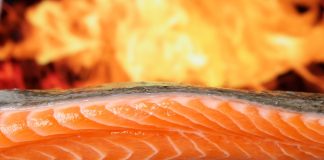 salmon and pampano ban