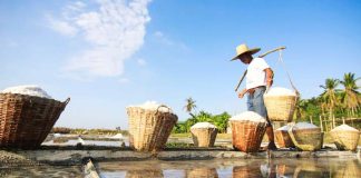 Philippines to import salt - DA