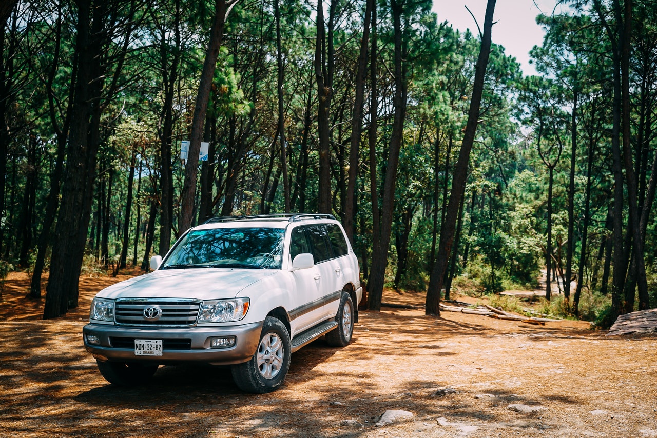 how-to-qualify-for-toyota-financing-today-pln-media